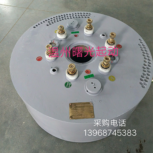 WSZK無刷液阻真空電機(jī)起動(dòng)器